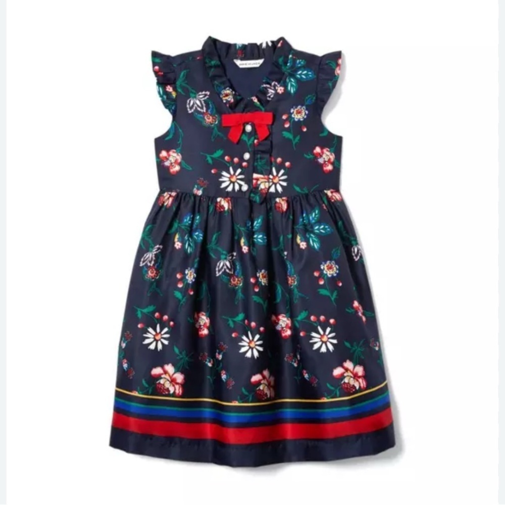 Janie And Jack Merchant Marine Daisy Floral Ruffled Party Dress